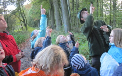Auf Spurensuche in den Herzforder Wald
